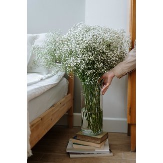 Daniel Ost Transparant Vase