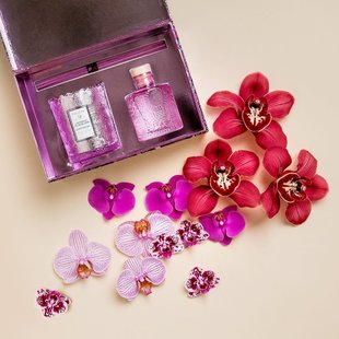 Japanese Plum Bloom - Candle & Diffuser Gift Set