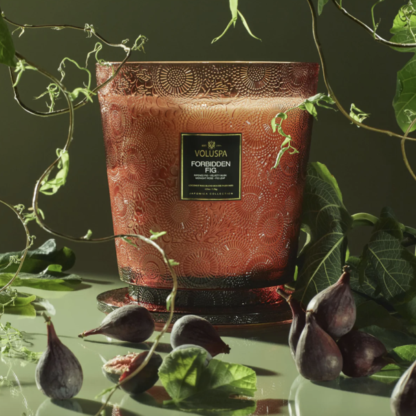 5 Wick Hearth Candle Forbidden Fig