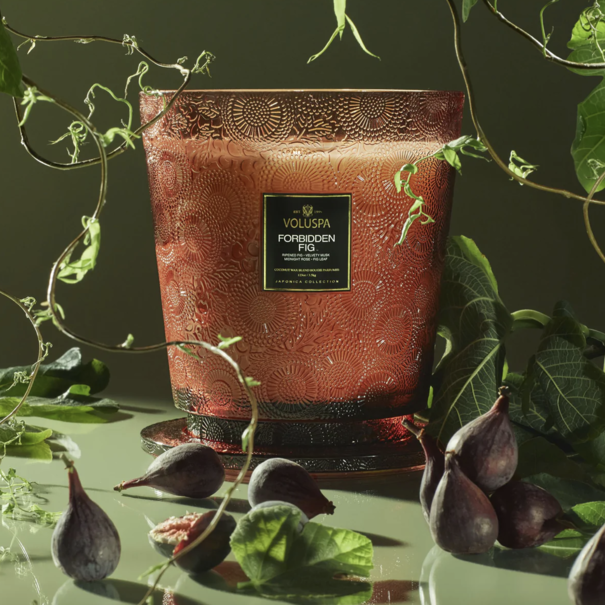 Forbidden Fig - 5 Wick Hearth Candle