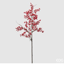 Ilex Bell Ramo Red H79