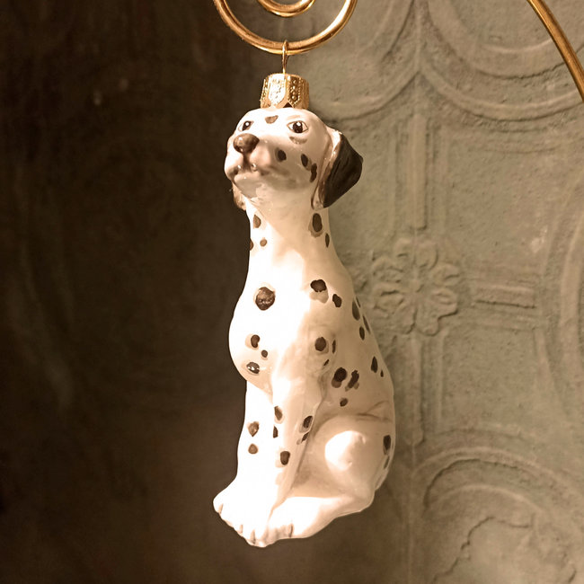 Komozja Dalmatian