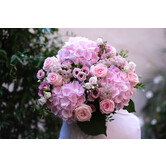 Pink Bouquet 100 EUR