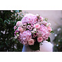 Pink Bouquet 100 EUR