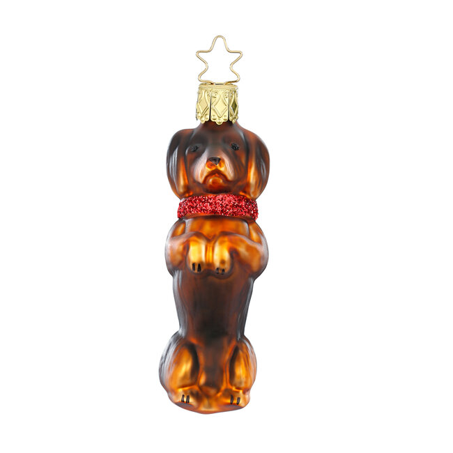 Inge Dachshund Dark Brown