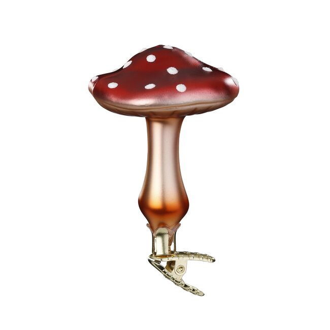 Inge Forest Mushroom