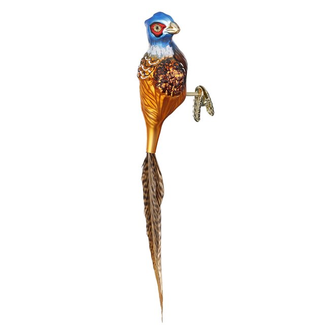 Inge Pheasant