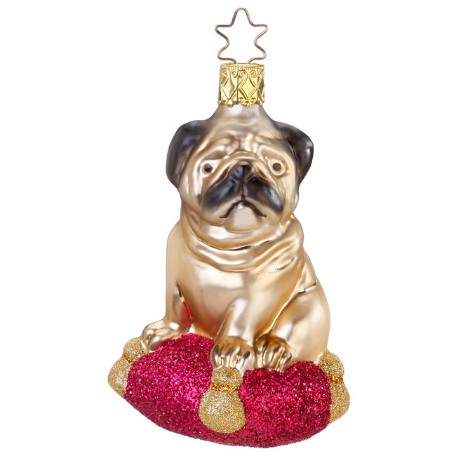 Inge Pug