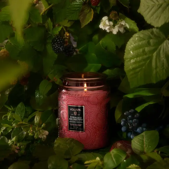 Luxe Jar Candle Forage Wildberry