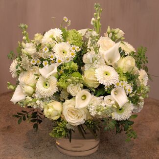 Daniel Ost Flowers Classic Collection - White Elegance - Sophisticated