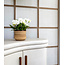 Daniel Ost Orchids Signature Orchids Collection - Serene Neutrals