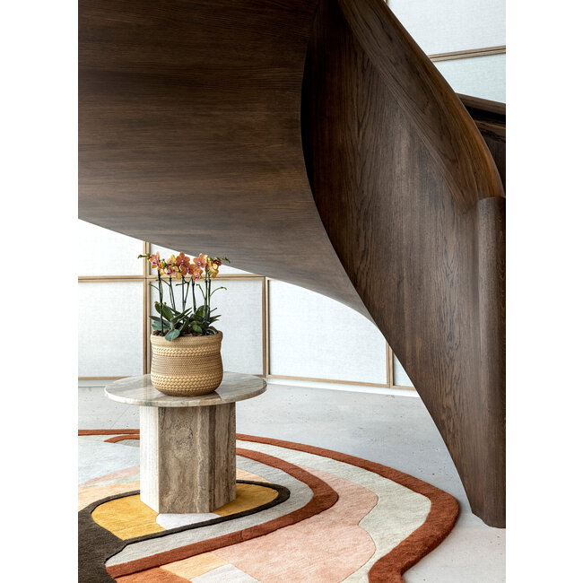 Daniel Ost Orchids Signature Orchids Collection - Gentle Tones