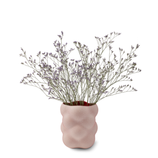 PolsPotten Grape Vase Red  - S