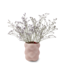 PolsPotten Grape Vase Red  - S