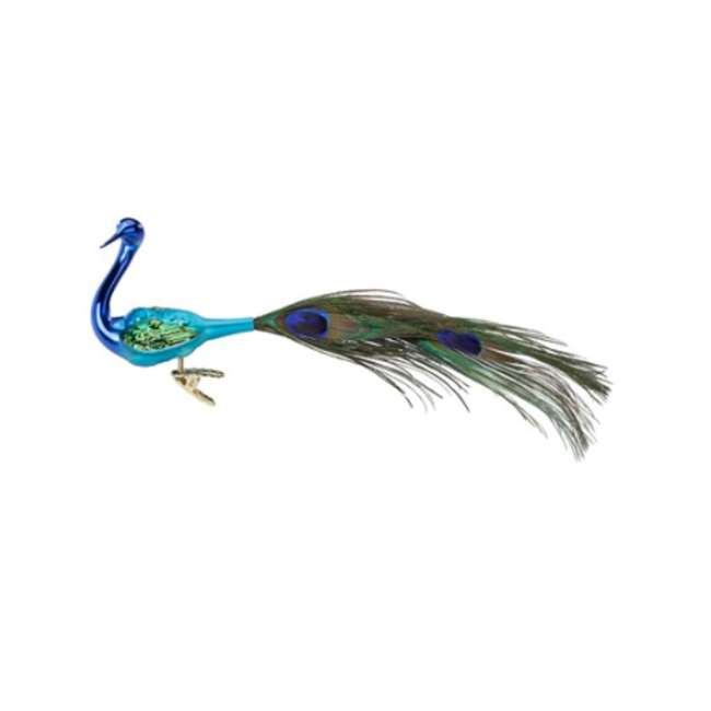 Inge Magnificent Peacock