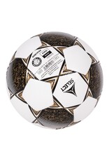 Derbystar Classic TT II-White-Gold