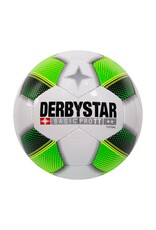 Derbystar Futsal Basic Pro TT-White-Green