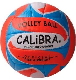 Calibra Beachvolleybal Alegre 2.0 oranje/blau