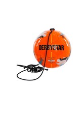 Derbystar Multikick Mini