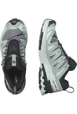 Salomon XA PRO 3D V9 Dames-Quiet Shade / Lily Pad / Blue Haze