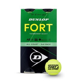 Dunlop D TB FORT ALL COURT TS 2*4TIN