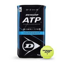 Dunlop D TB ATP CHAMPIONSHIP 2x4PET CARTONETTE