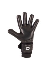 Stanno Hardground RFH VI Goalkeeper Gloves-Black
