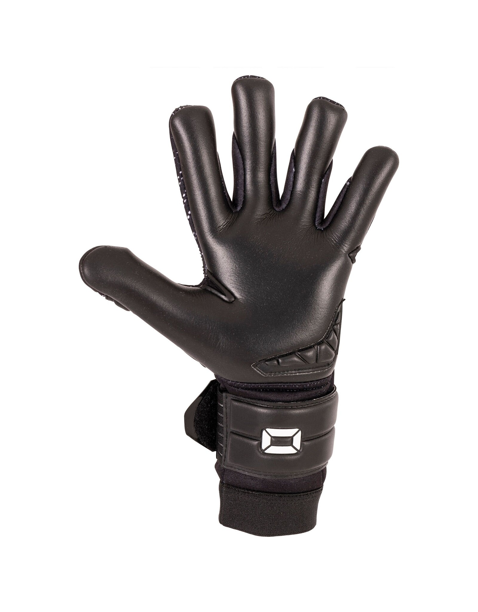 Stanno Hardground RFH VI Goalkeeper Gloves-Black