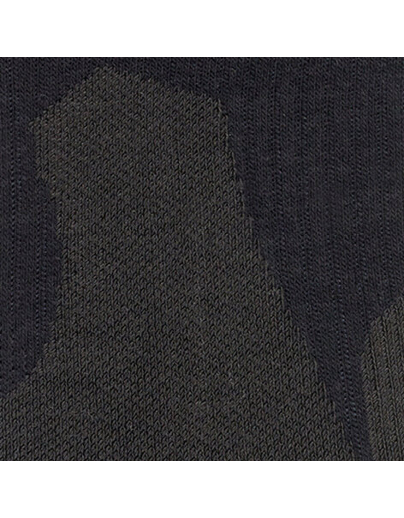 Falke FALKE TE2 Heren Sokken-black (3000)