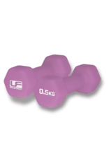 UFE UFE Hex Dumbells 1 pair 0.5 kg (Pink) UFE UFE Hex Dumbells 1 pair 0.5 kg (Pink)