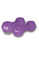 UFE UFE Hex Dumbells 1 pair 1 kg (Purple) UFE UFE Hex Dumbells 1 pair 1 kg (Purple)