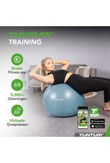 Tunturi Tunturi Gymball 65cm, Light Blue, Anti Burst