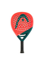 Head Radical Team 2026