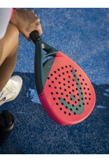 Head Radical Team 2026