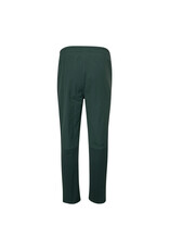 The Indian Maharadja Men plyo flex pant regular fit-hunter green