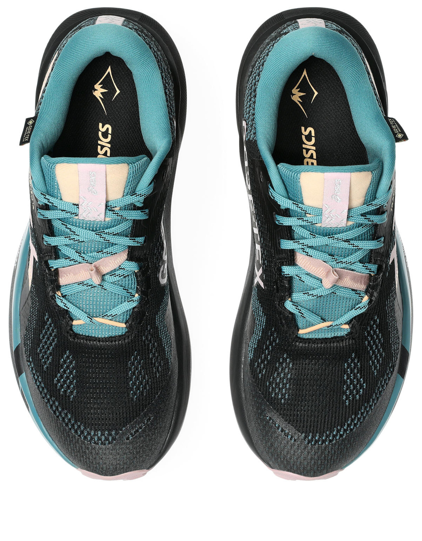 Asics TRABUCO 14 GTX-Dames-BLACK/MORGANITE