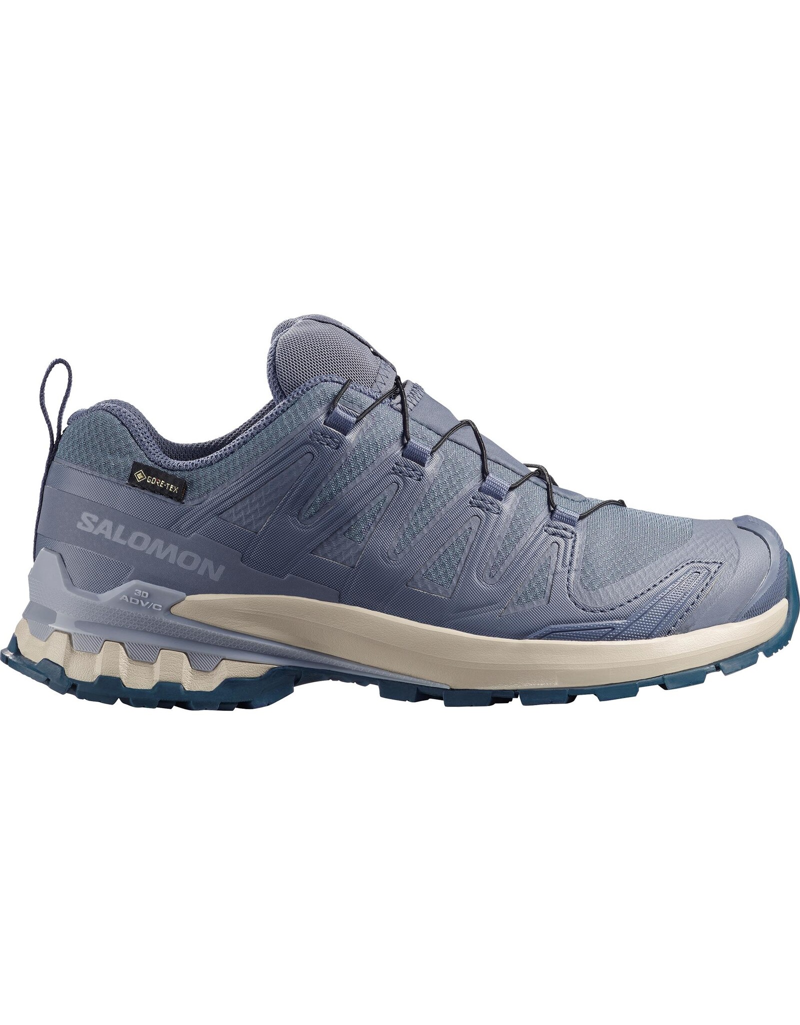 Salomon XA PRO 3D V9 GTX W-Dames-Grisaille / Tradewinds / Spellbound