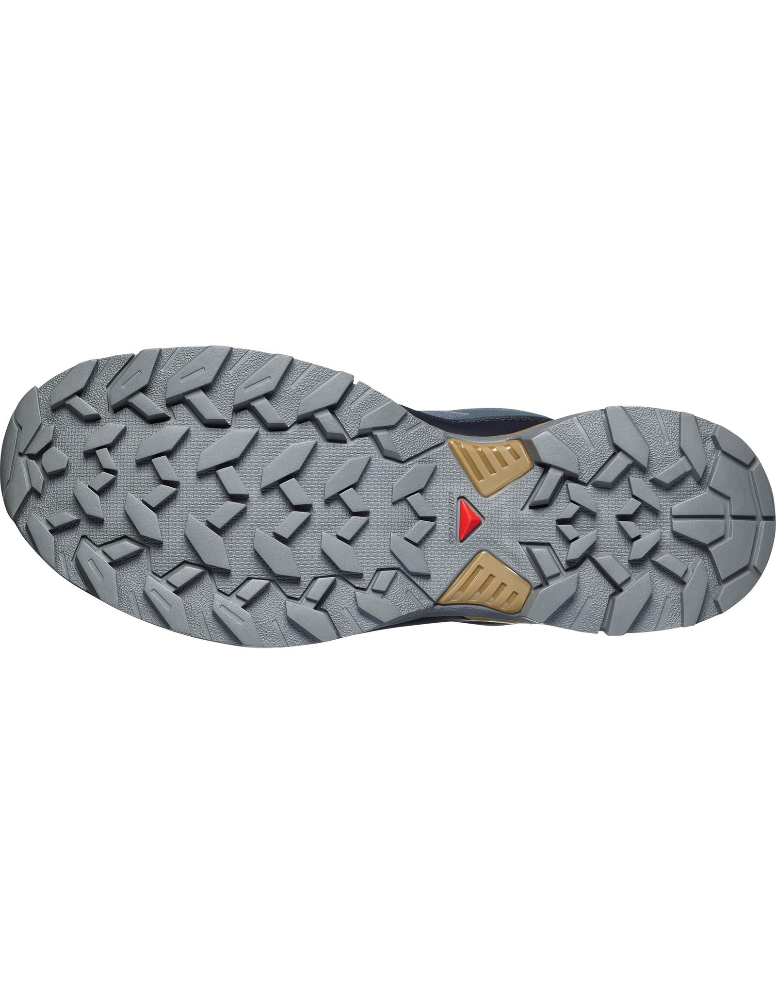 Salomon X ULTRA 360 GTX-Heren-Urban Chic / Black / Brilliant Olive