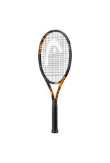 Head Graphene Radical Team (SMU Global)