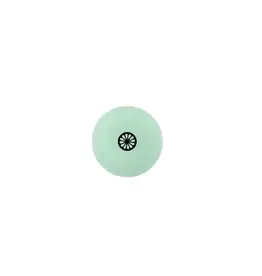 The Indian Maharadja Hockey ball [single] - mint-mintgroen