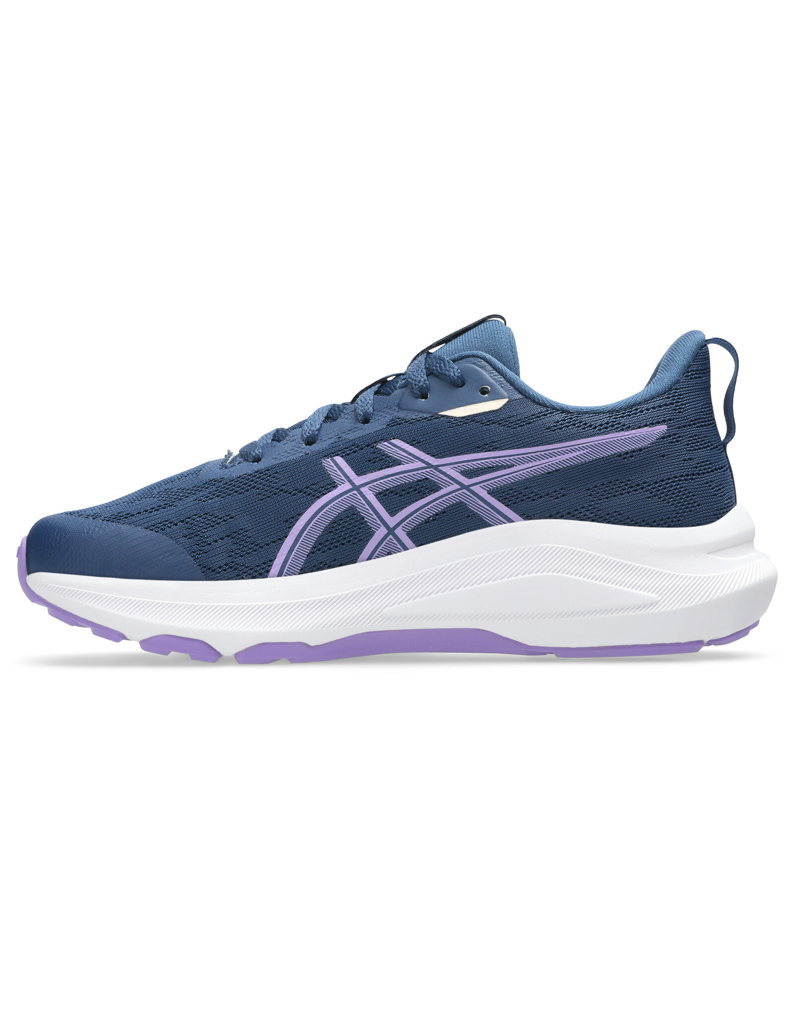 Asics GT-1000 14 GS-Kinderen-INDEPENDENCE BLUE/FADED PLUM