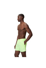 Speedo ESSENTIALS 16 Pale Clover