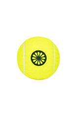 The Indian Maharadja Tennis Ball All Court 4pcs