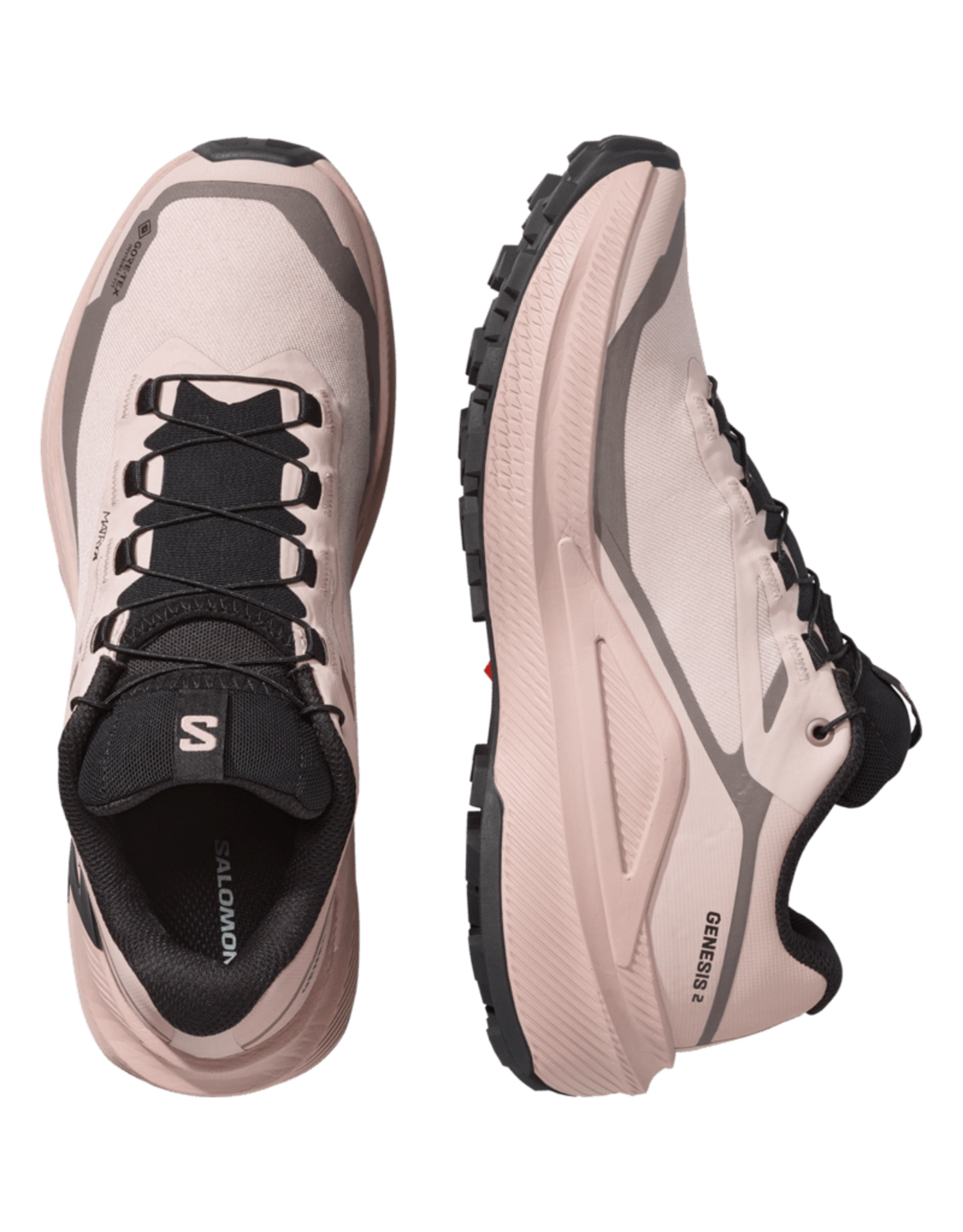 Salomon GENESIS 2 GTX W-Dames-Shadow Gray / Iron / Black