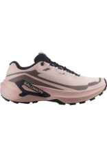 Salomon GENESIS 2 GTX W-Dames-Shadow Gray / Iron / Black