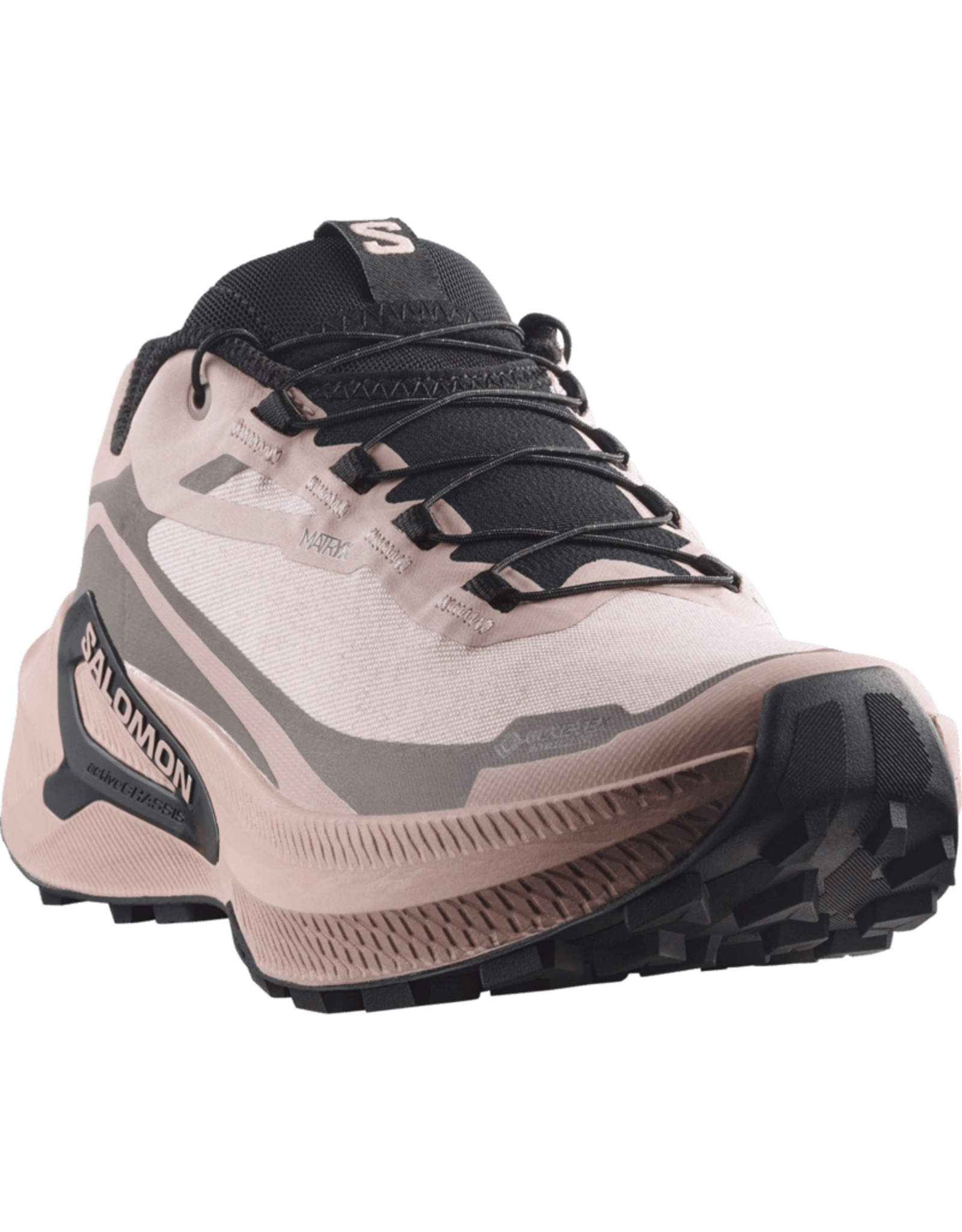Salomon GENESIS 2 GTX W-Dames-Shadow Gray / Iron / Black