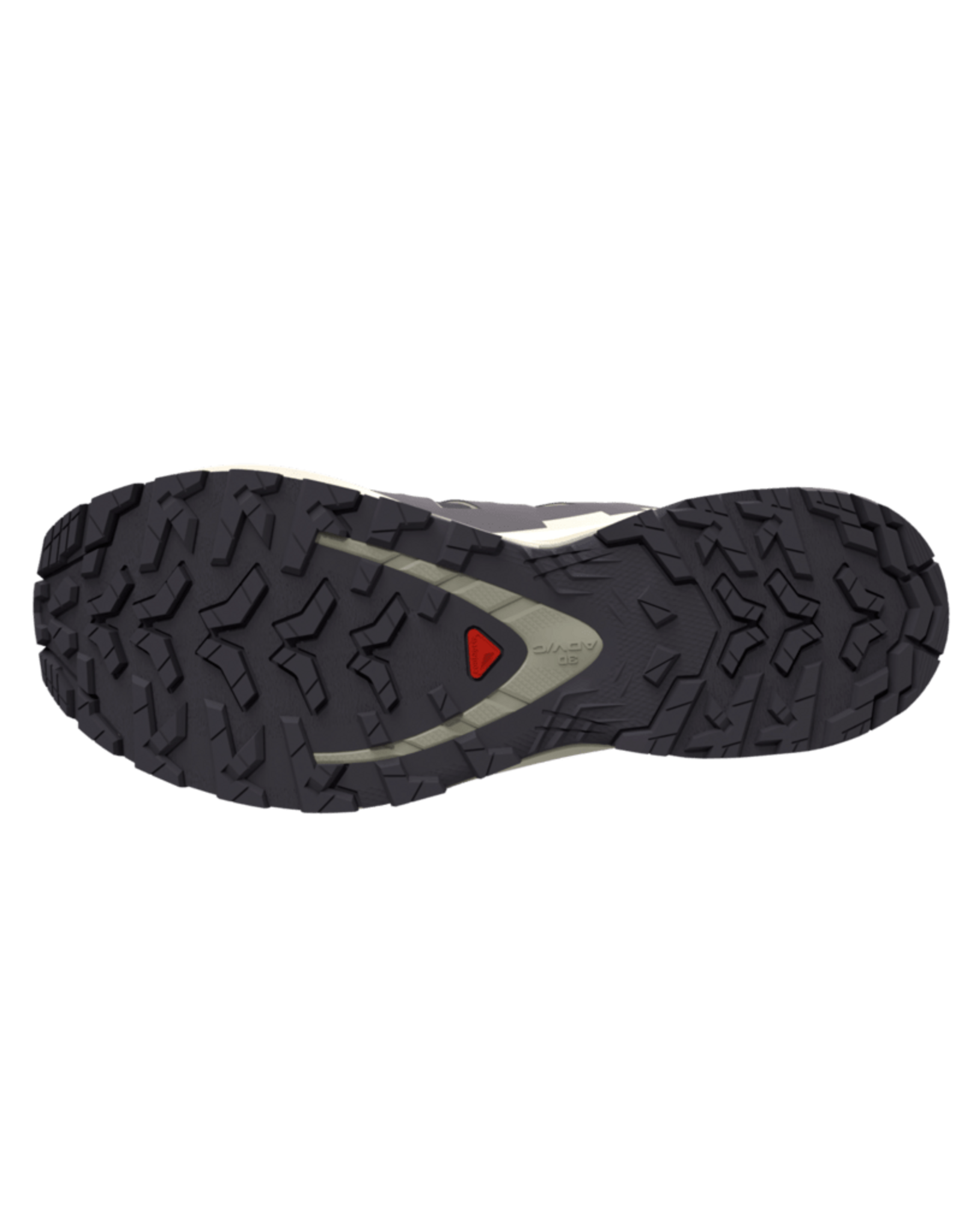 Salomon XA PRO 3D V9 GTX W-Dames-Nine Iron / Oxford Tan / Alfalfa