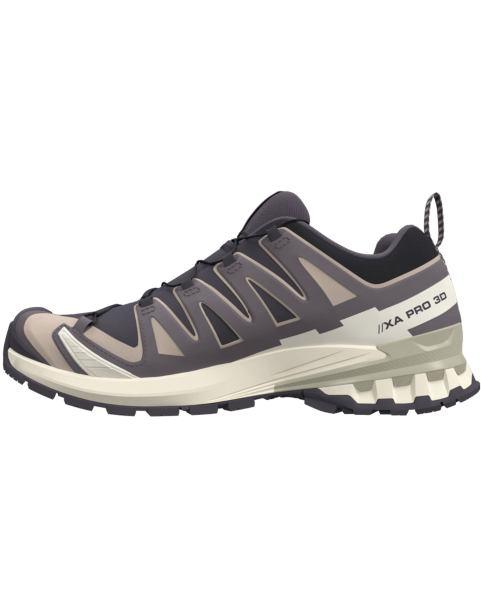 Salomon XA PRO 3D V9 GTX W-Dames-Nine Iron / Oxford Tan / Alfalfa
