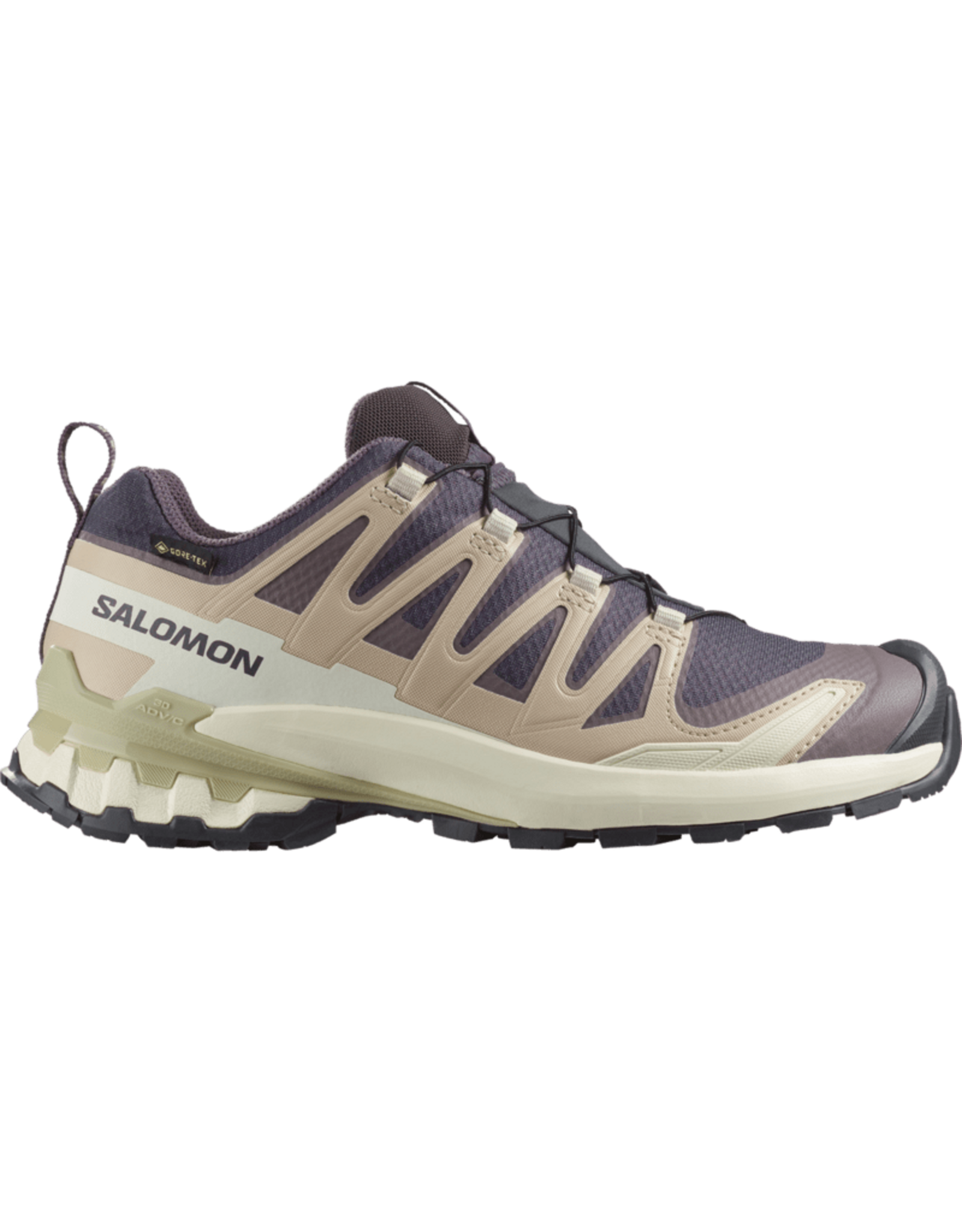 Salomon XA PRO 3D V9 GTX W-Dames-Nine Iron / Oxford Tan / Alfalfa