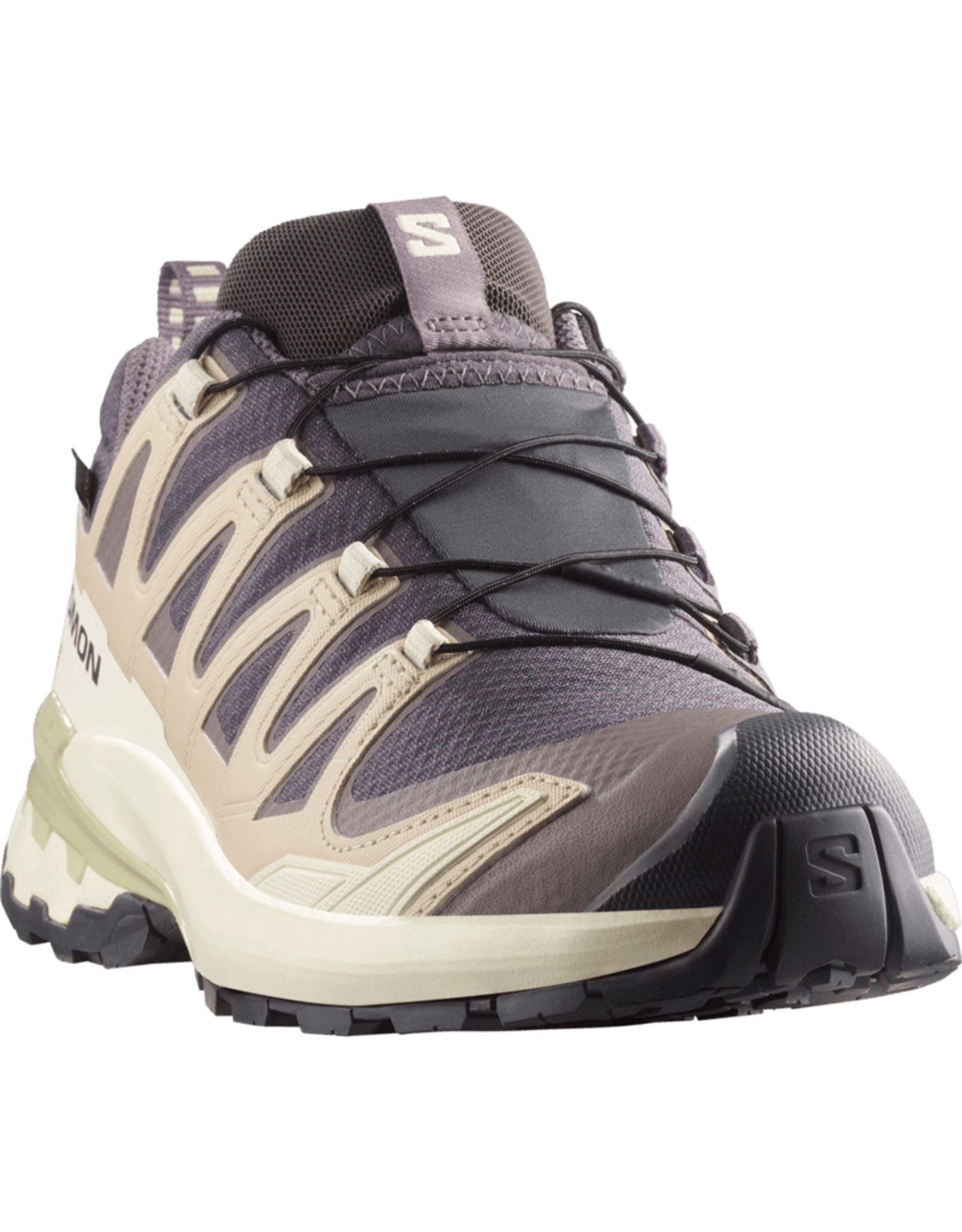 Salomon XA PRO 3D V9 GTX W-Dames-Nine Iron / Oxford Tan / Alfalfa